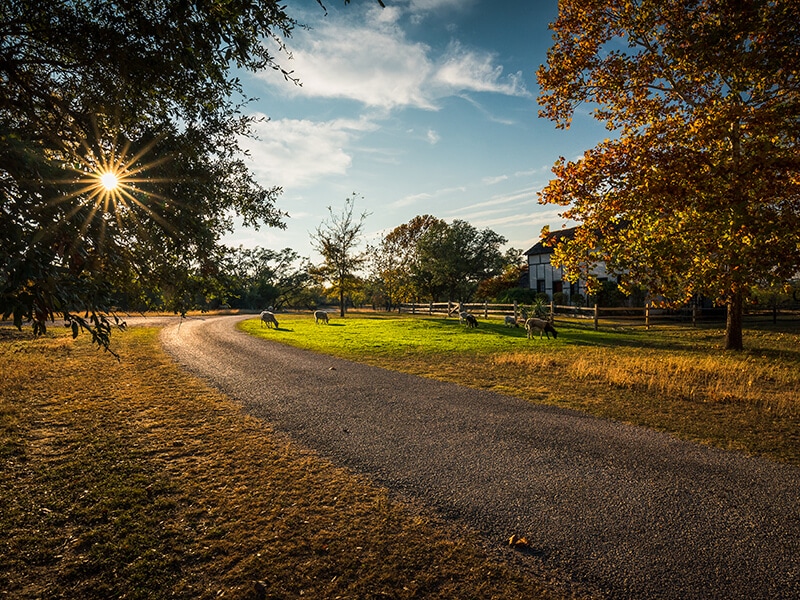 Fredericksburg In Evening