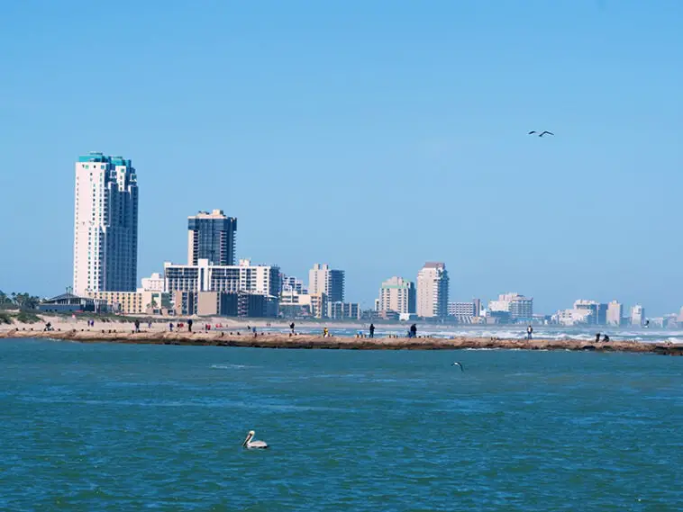 Top 20 Best Restaurants In South Padre Island, Tx To Savor 2023