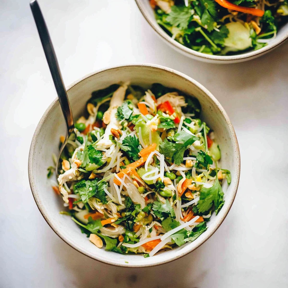 Vibrant Vietnamese Chicken Salad Recipe