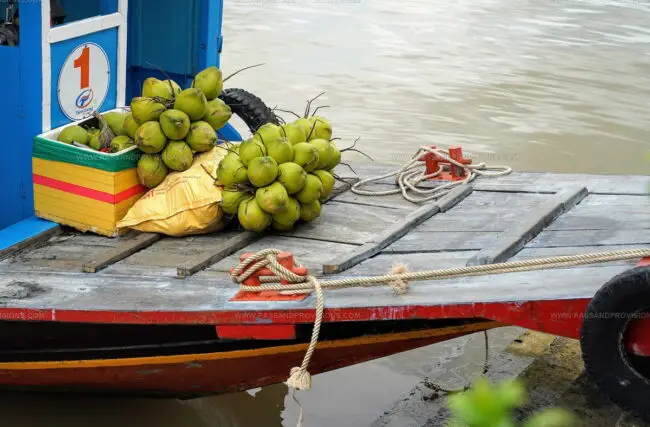 Ben Tre Coconut