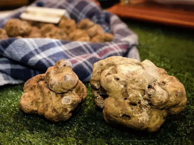 White Truffles