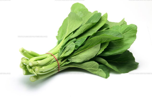 Chinese Flowering Cabbage (Choy Sum)