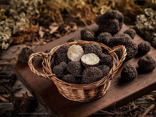 Truffle Flavor Guide
