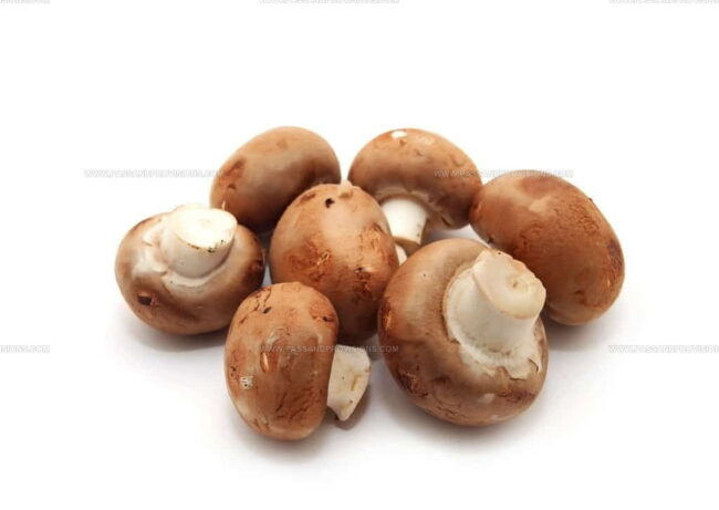 Mushrooms