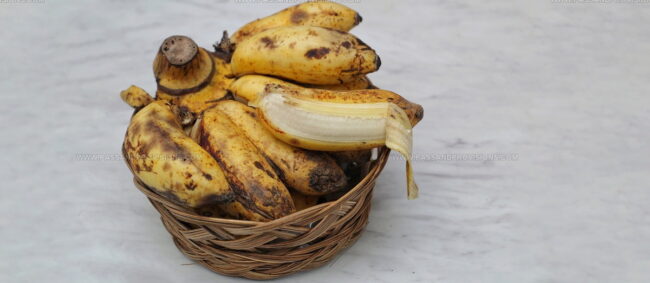 Latundan Banana
