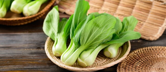 Bok Choy