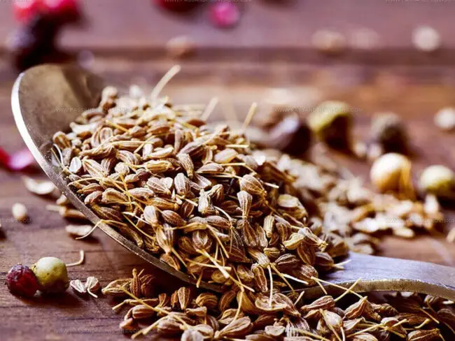 Cooking Uses for Anise