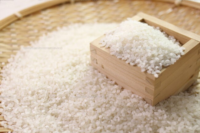 Koshihikari