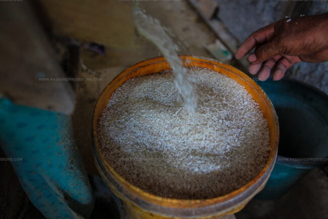 Samba Rice