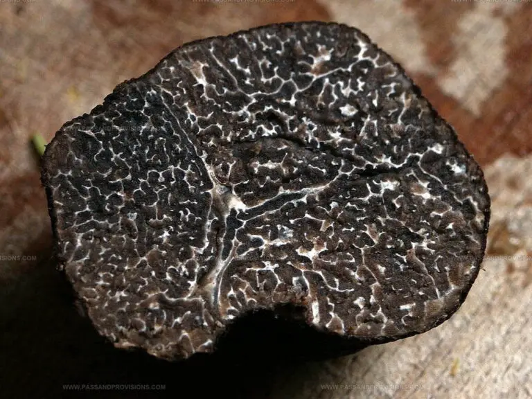 What Does a Truffle Taste Like? Exploring Earth's Hidden Gem