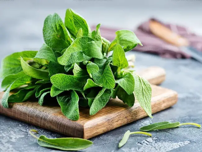 When to Substitute Sage in Cooking